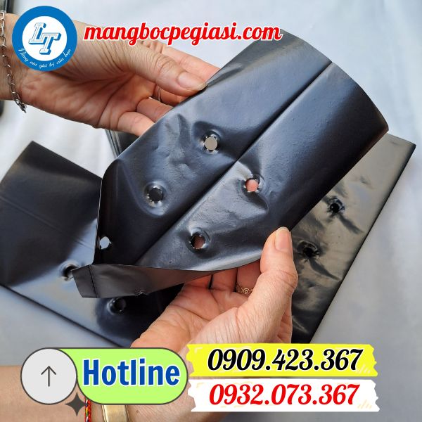 tú bầu ươm cây màu đen giá rẻ cho nhà vườn tú bầu ươm cây màu đen giá rẻ cho nhà vườn