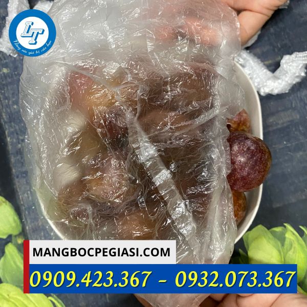 Túi bọc thực phẩm có chun bo sát Túi bọc thực phẩm có chun bo sát