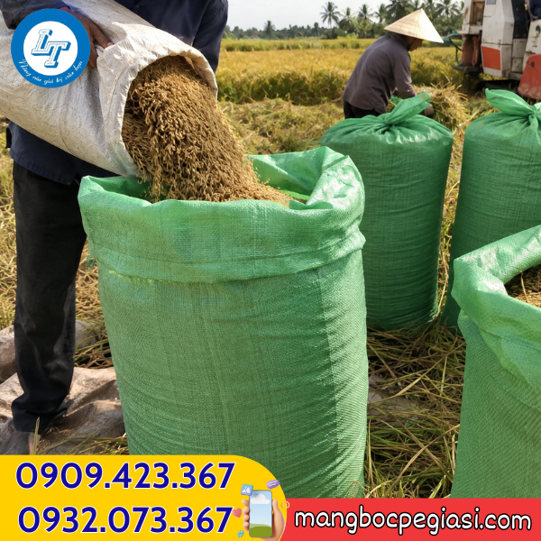 Bao tải dứa xanh đựng lúa Bao tải dứa xanh giá sỉ