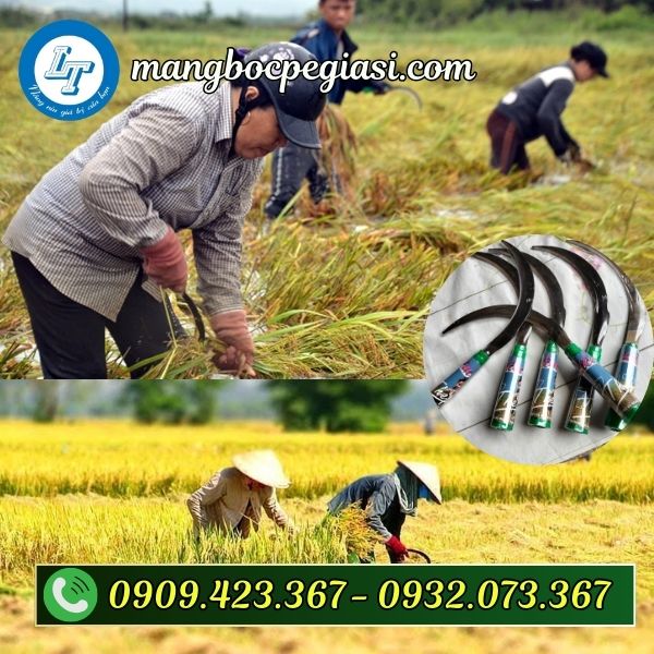 Ứng dụng lưỡi liềm