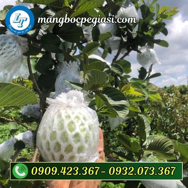 Xốp lưới bọc trái cây chất lượng Xốp lưới bọc trái cây giá rẻ