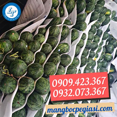 xốp foam bọc lót dưa hấu xốp foam bọc lót dưa hấu