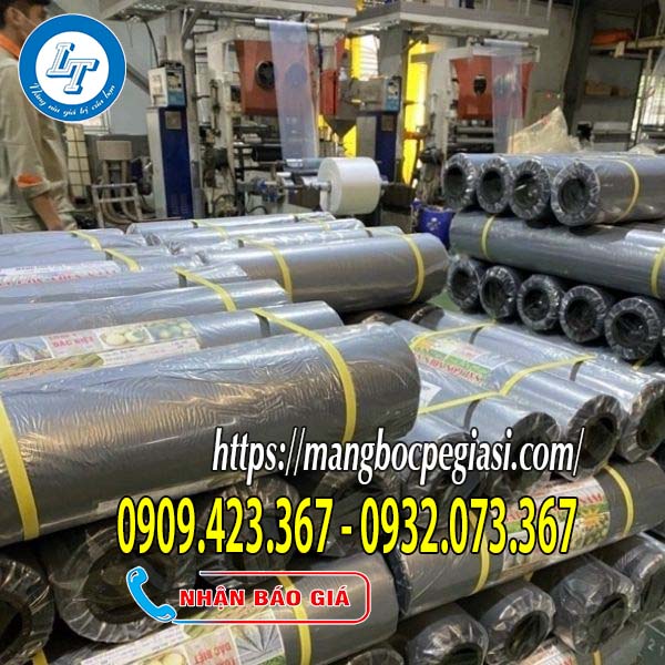 Xưởng sản xuất màng phủ nông nghiệp giá rẻ Xưởng sản xuất màng phủ nông nghiệp giá rẻ