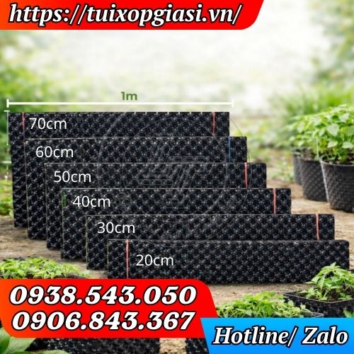 Bầu ươm cây thông minh đủ kích thước