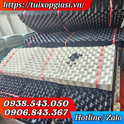 Bầu ươm cây thông minh