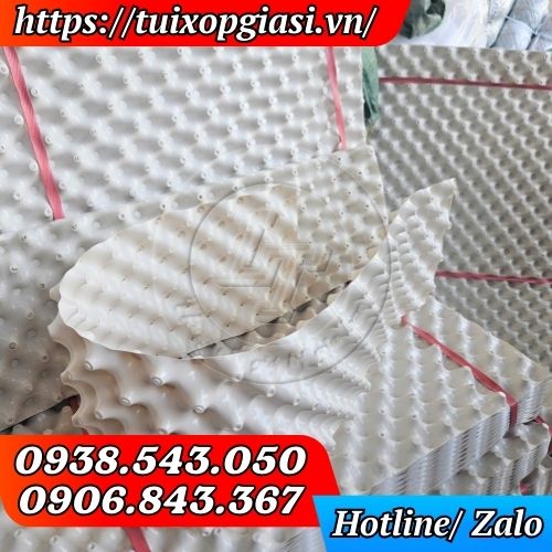 Bầu ươm cây thông minh trắng