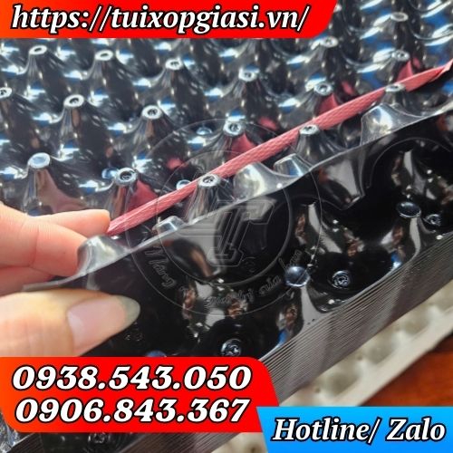 Bầu ươm cây thông minh màu đen