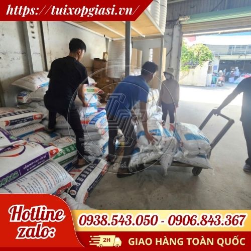 Soạn hàng túi bóng mỡ màu gai hàng thường cho khách