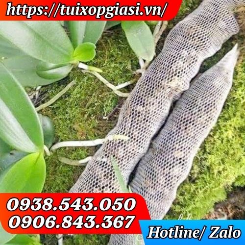 Túi lưới bón phân cho lan