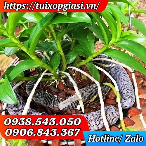 Túi lưới đựng phân hạt cho vườn lan hiệu quả