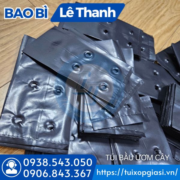 Bán túi bầu ươm cây giá sỉ