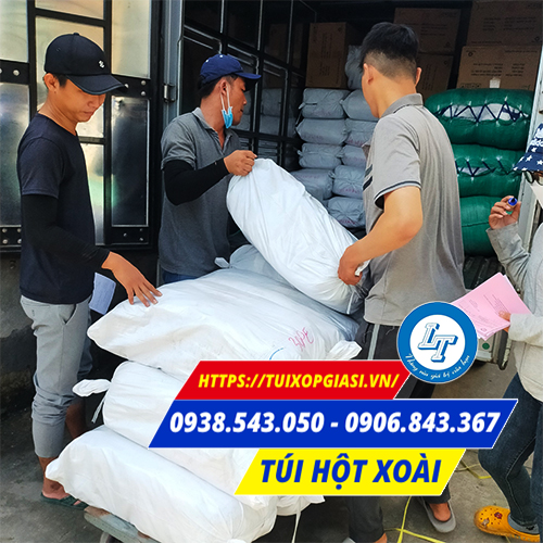 Bán túi hột xoài nhiều màu giá rẻ