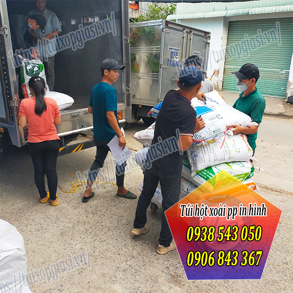 Bán túi hột xoài pp cho khách tphcm