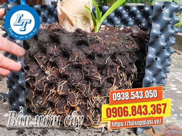 Bầu ươm cây chất lượng giá rẻ