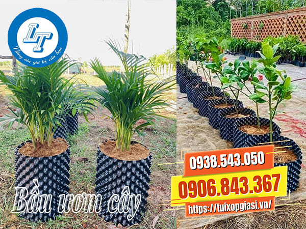 Bầu ươm cây chất lượng giá rẻ