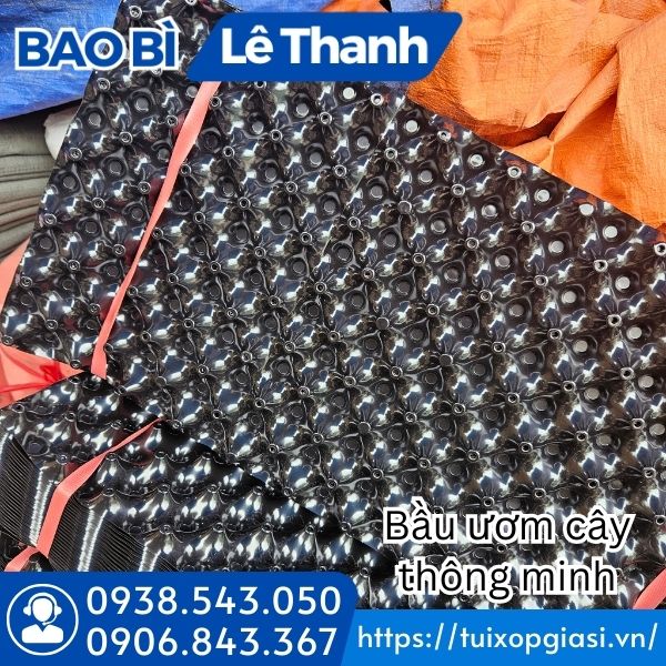 Bầu ươm cây thông minh chất lượng