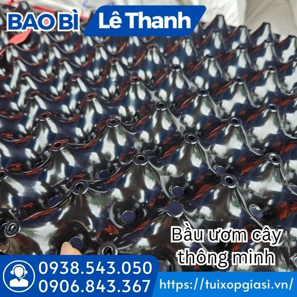 Bầu ươm cây thông minh có lỗ thoát nước thuận tiện