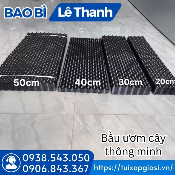Bầu ươm cây thông minh đa dạng kích cỡ