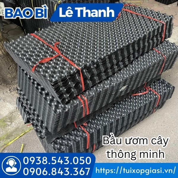 Bầu ươm cây thông minh giá rẻ