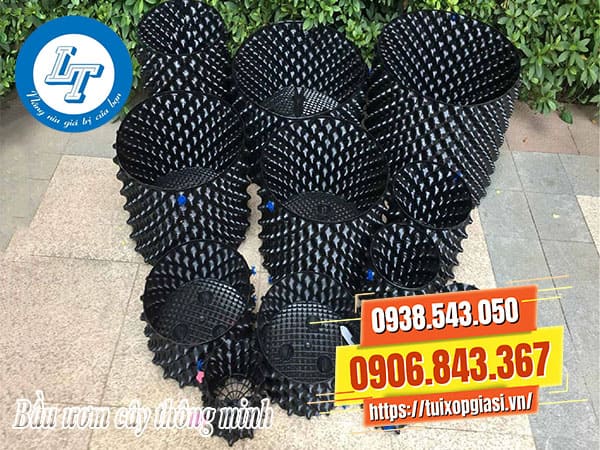 Bầu ươm cây thông minh giá rẻ chất lượng