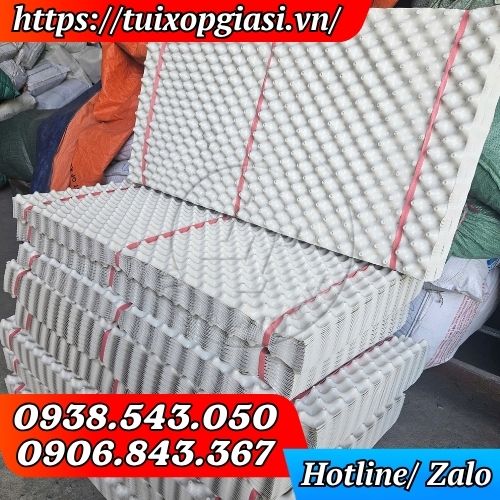 Công ty Lê Thanh kho sỉ bầu ươm cây thông minh cho nhà vườn