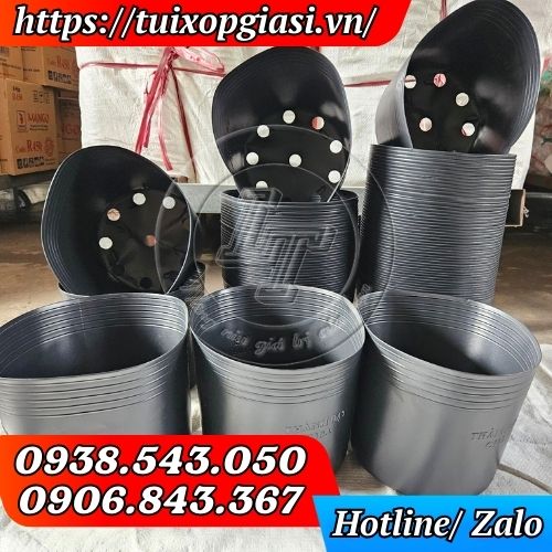 Bỏ sỉ chậu nhựa đen trồng cây đa dạng kích thước