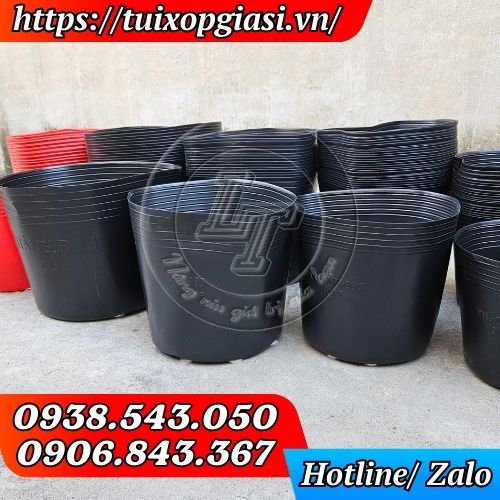 Chậu nhựa đen trồng cây