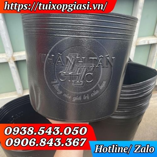 Chậu nhựa đen trồng cây C11