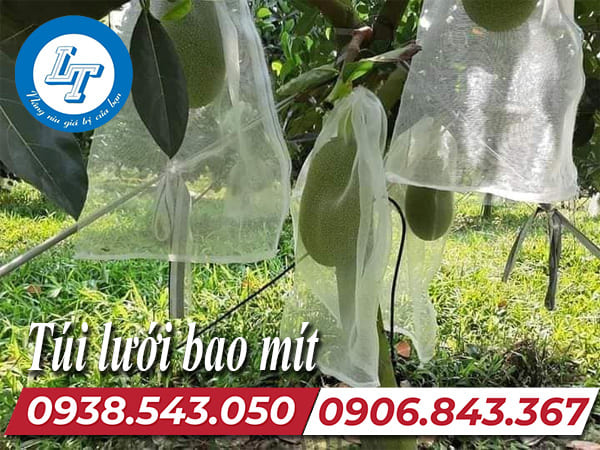 Bỏ sỉ túi lưới bao mít giá rẻ cho nhà vườn