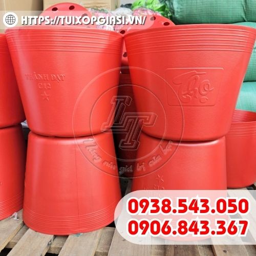 Chậu nhựa C12 giá sỉ, bền, đẹp