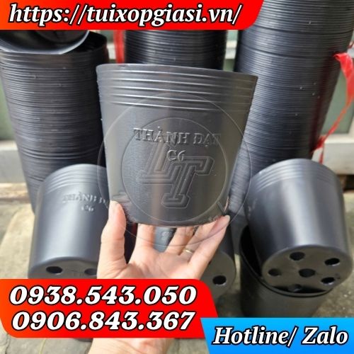 Chậu nhựa đen trồng hoa C6