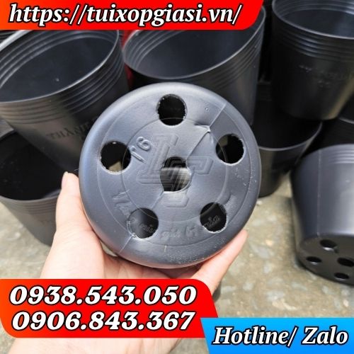 Chậu nhựa đen C6 trồng hoa mini