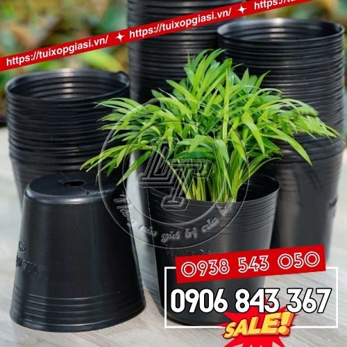 Chậu nhựa dẻo màu đen trồng cây