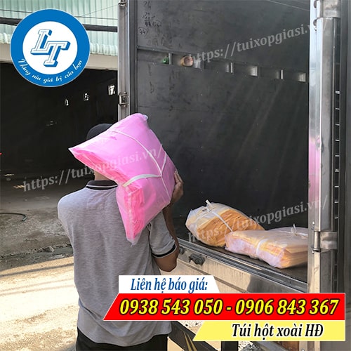 Chỗ bán túi hột xoài HĐ giá sỉ rẻ