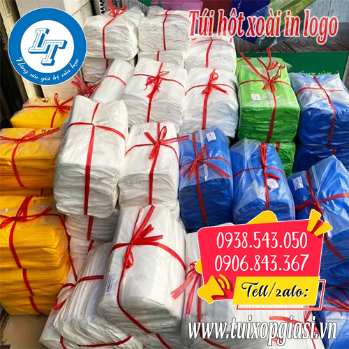 Chỗ in logo, thương hiệu lên túi hột xoài tại tphcm