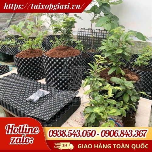 Tấm nhựa bó bầu cây chất lượng, tiện lợi