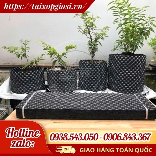 Tấm nhựa bó bầu cây đa dạng kích cỡ