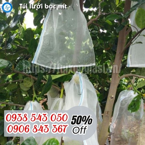 Chuyên sỉ túi lưới bọc mít chống sâu bệnh hại giá rẻ
