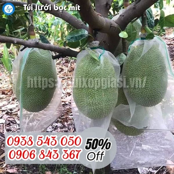 Chuyên sỉ túi lưới bọc mít chống sâu bệnh hại giá rẻ