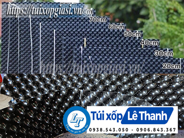 Cung cấp giá rẻ bầu ươm cây thông minh