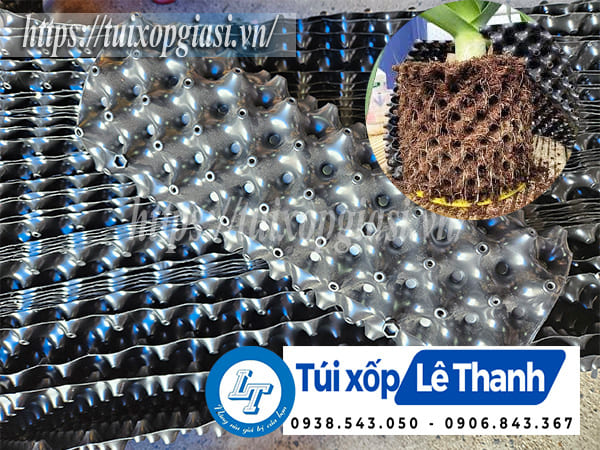 Cung cấp giá rẻ bầu ươm cây thông minh