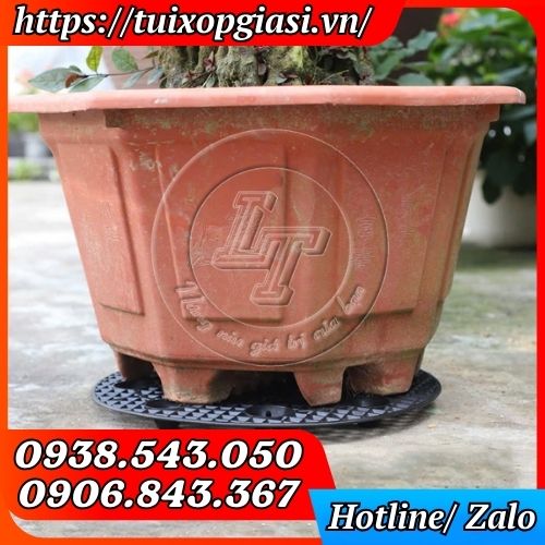 Đế lót bầu ươm cây
