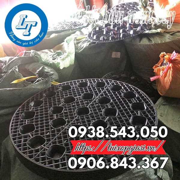 Đế lót bầu ươm cây giá rẻ