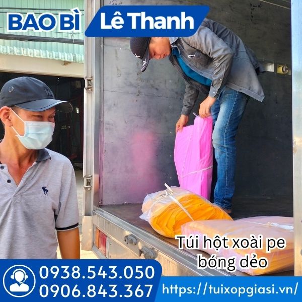 Đi đơn túi hột xoài cho khách tỉnh