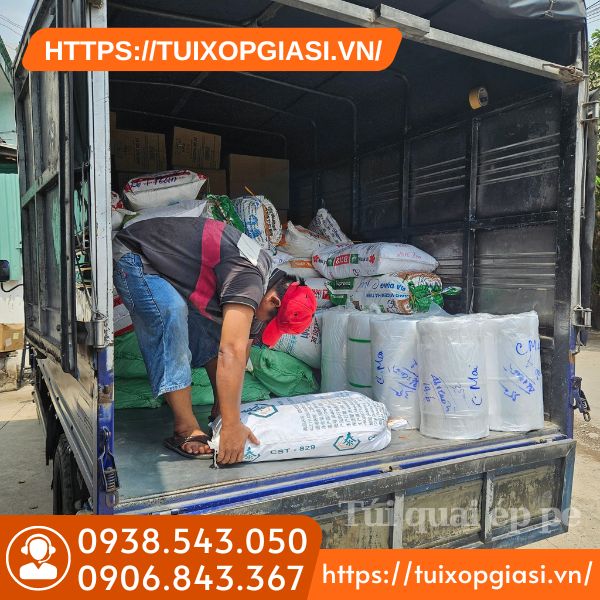 Đi đơn túi quai ép pe cho khách sỉ