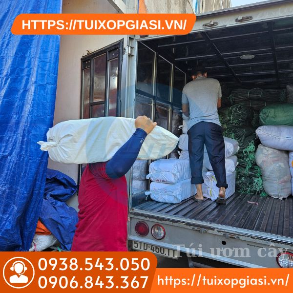 Đi túi ươm cây giá sỉ cho khách HCM