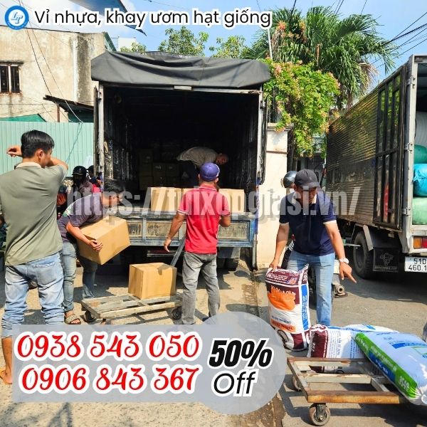 Địa chỉ bán vỉ nhựa, khay ươm hạt giống 32 lỗ, 100 lỗ giá rẻ