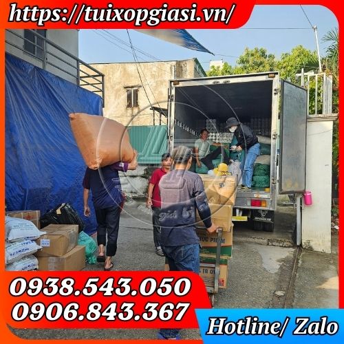 Giao hàng túi đựng 3 ly gai