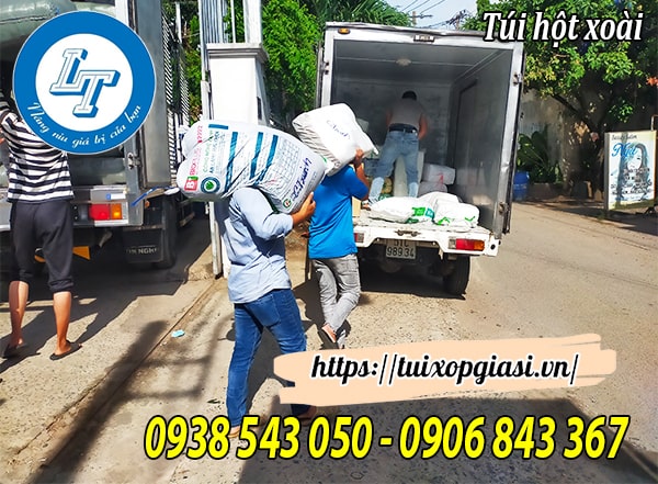 Giao túi hột xoài giá sỉ hcm