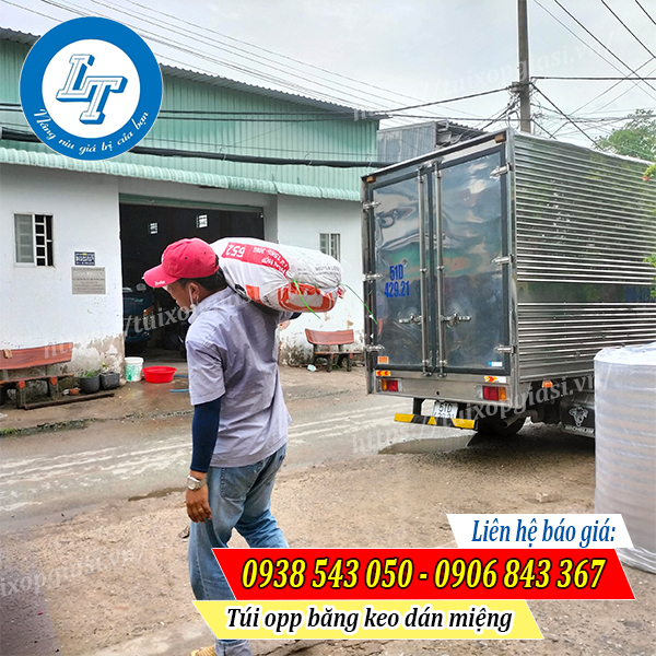 Giao túi opp băng keo dán miệng tphcm Giao túi opp băng keo dán miệng tphcm